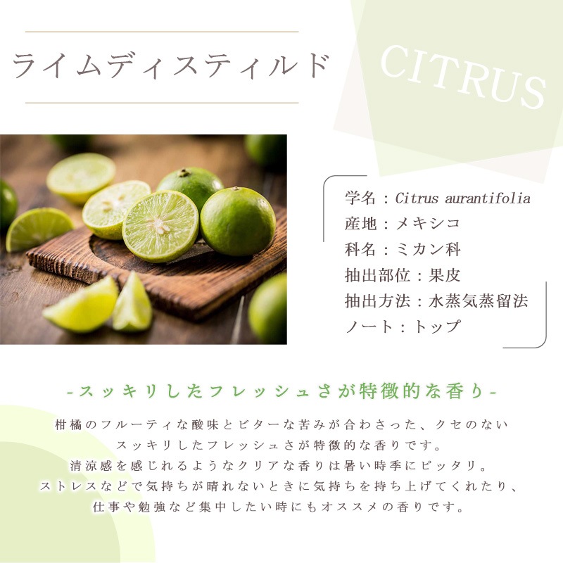 �饤�� �ǥ����ƥ����  �� �����ʣ���������� ��