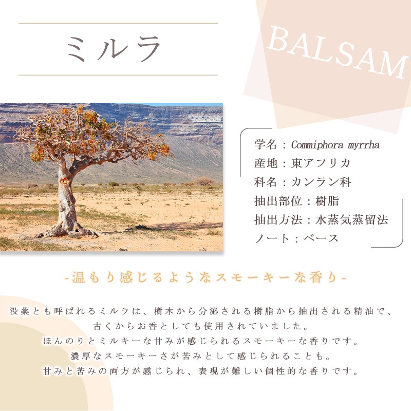 �ߥ��  �� �������� ��