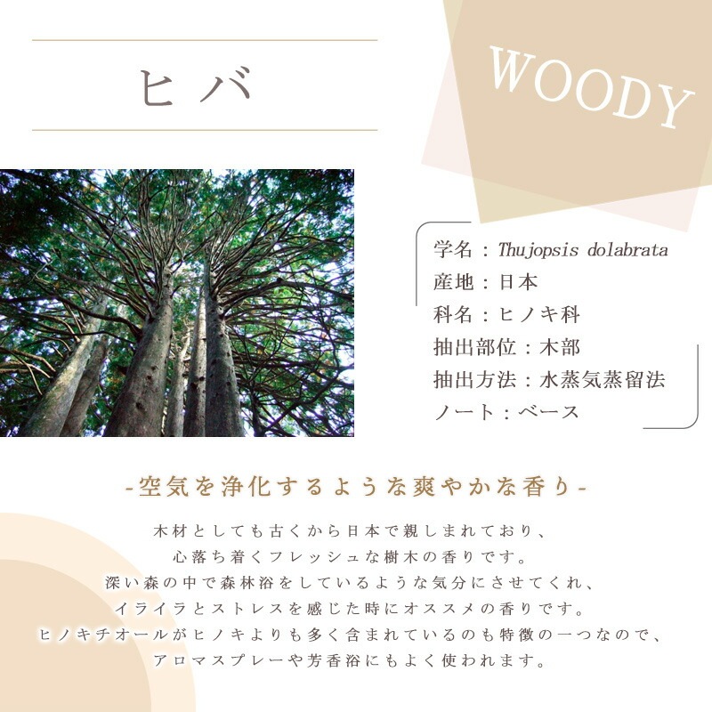 �ҥ�  �� ������ ��