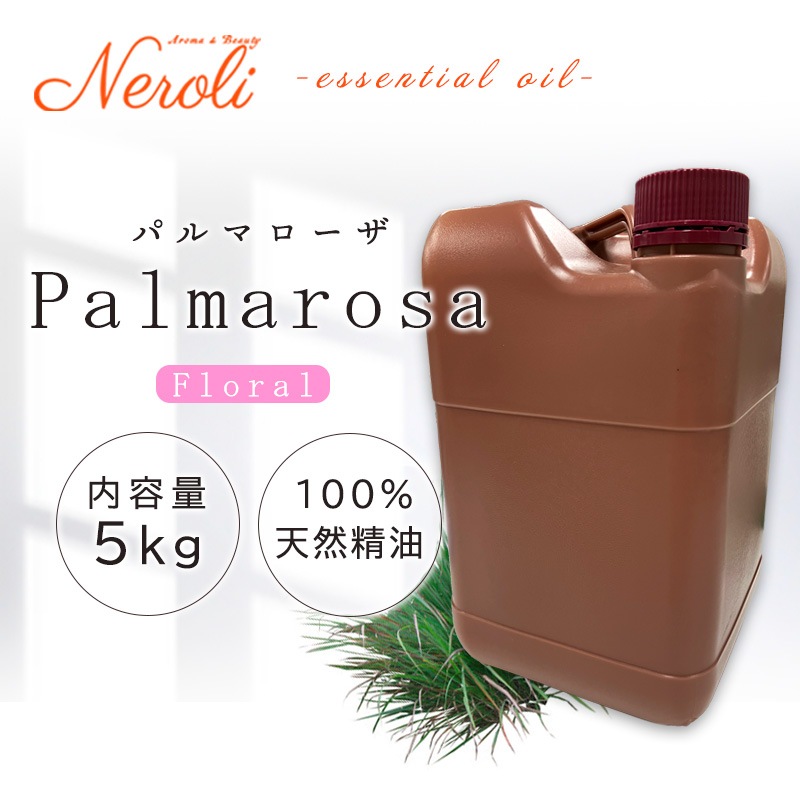 �ѥ�ޥ�����  �� �����ʣ���������� ��