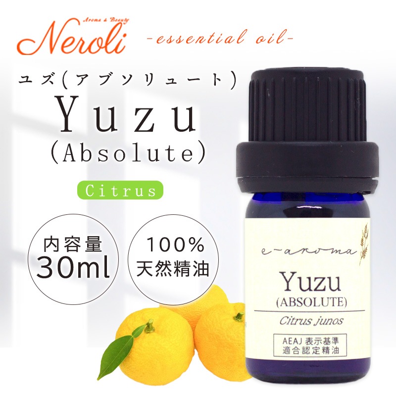 ͮ�� ABSOLUTE �� �楺 ���֥���塼�� �� �� �������� ��