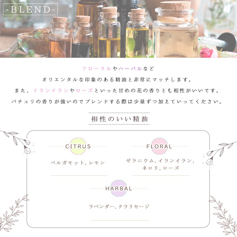 �ѥ����  �� �����ʣ���������� ��