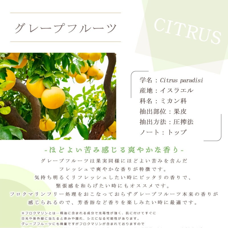 ���졼�ץե롼��  �� ������ ��