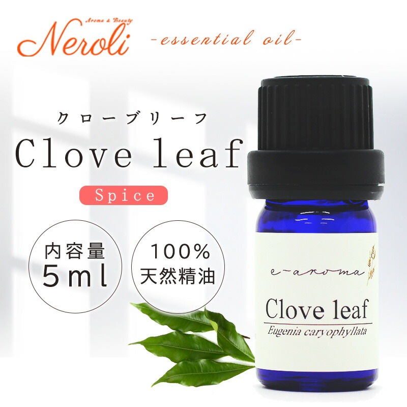 �������֥꡼��  �� ������ ��