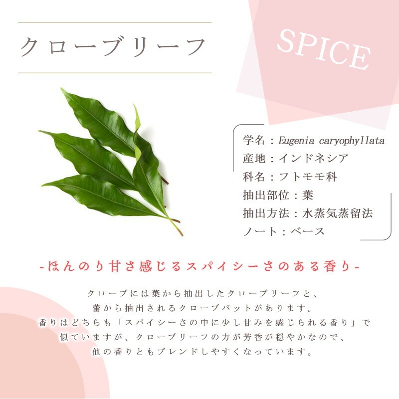 �������֥꡼��  �� ������ ��