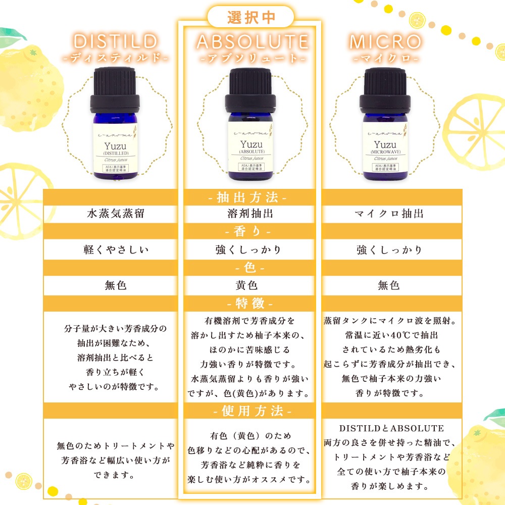 ͮ�� ABSOLUTE �� �楺 ���֥���塼�� �� �� ����� �� ���������� )��