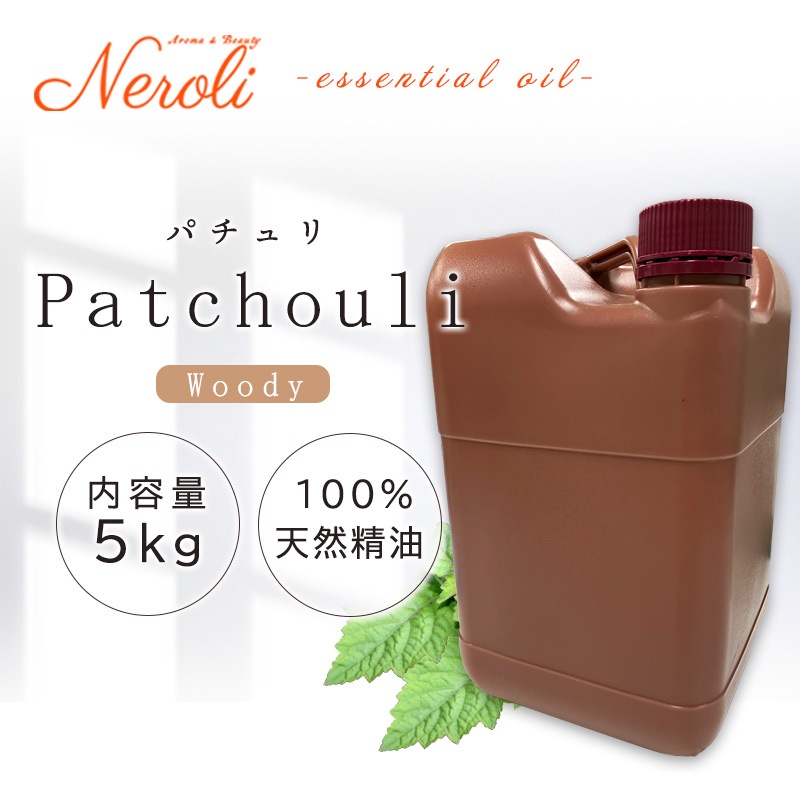 �ѥ����  �� �����ʣ���������� ��