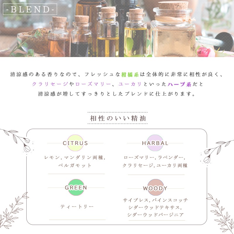 �ڥѡ��ߥ��  �� �����ʣ���������� ��