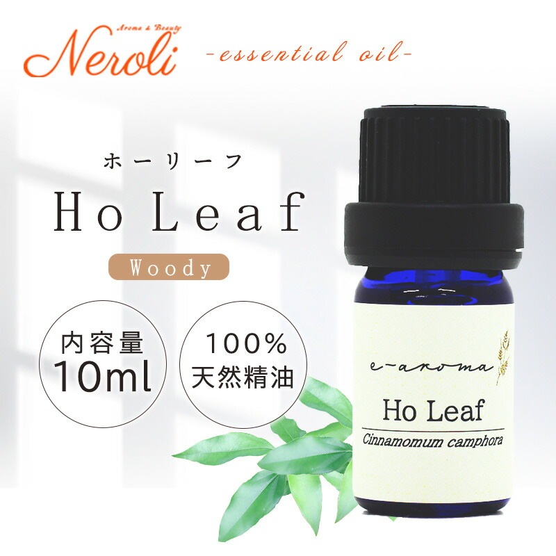 �ۡ��꡼��  �� �������� ��