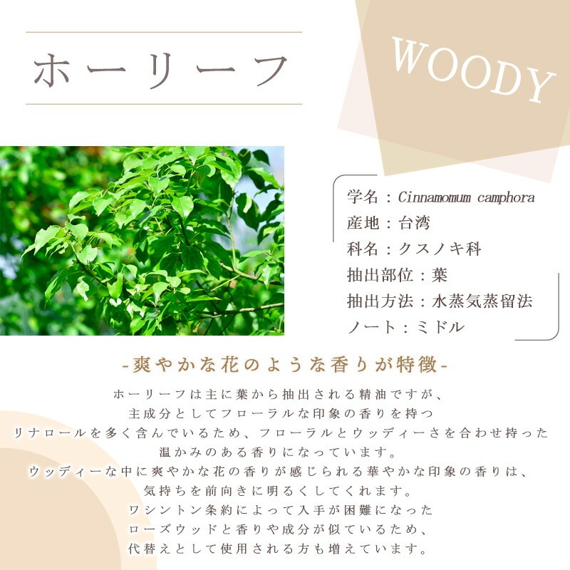 �ۡ��꡼��  �� �������� ��