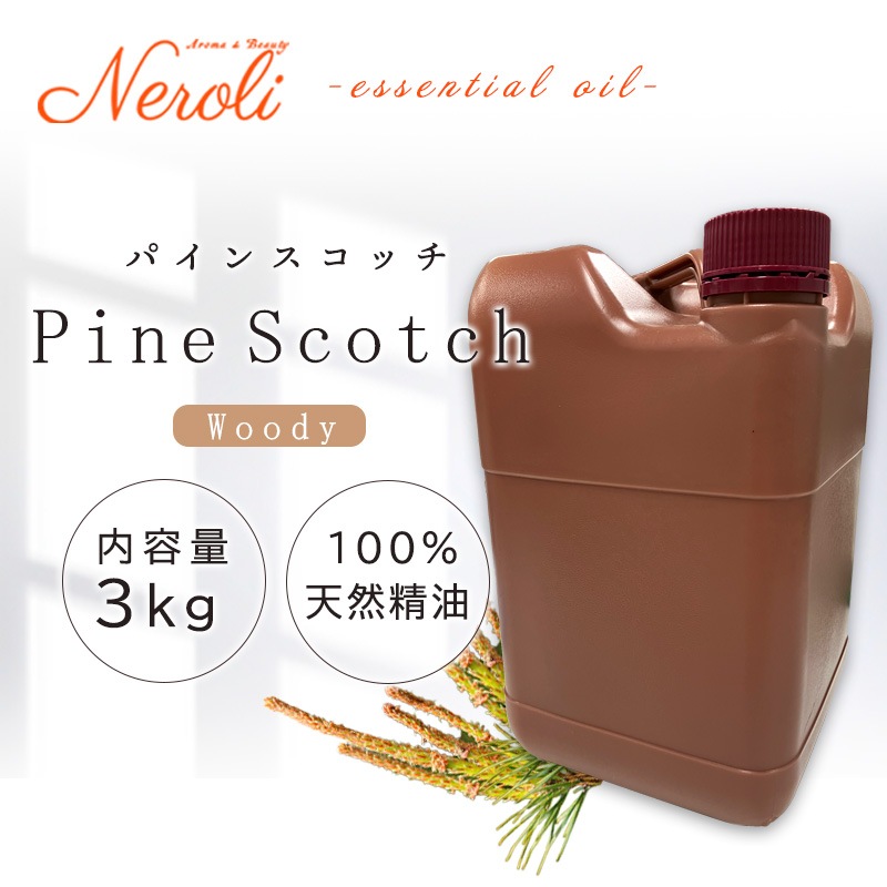 �ѥ��� �����å� �� �ԥʥ� ��  �� �����ʣ���������� ��