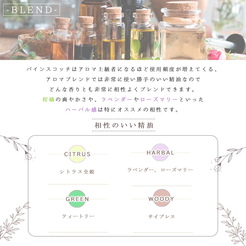 �ѥ��� �����å� �� �ԥʥ� ��  �� �����ʣ���������� ��