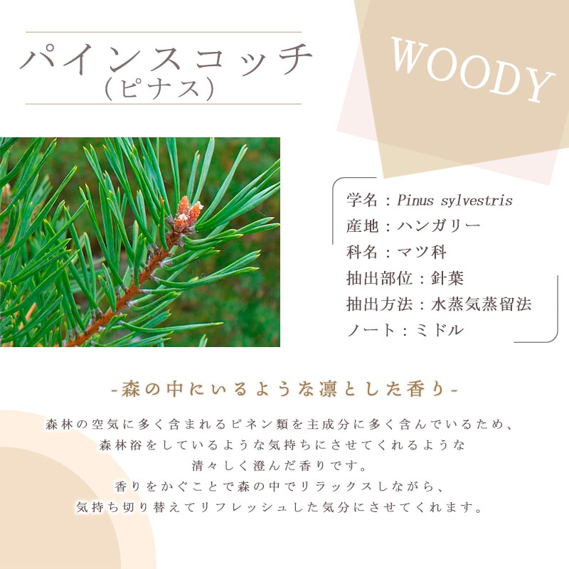 �ѥ��� �����å� �� �ԥʥ� ��  �� �����ʣ���������� ��