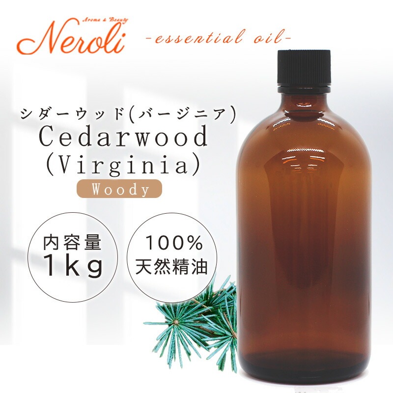 ���������å� �� �С����˥���  �� ����� �� ���������� �� ��