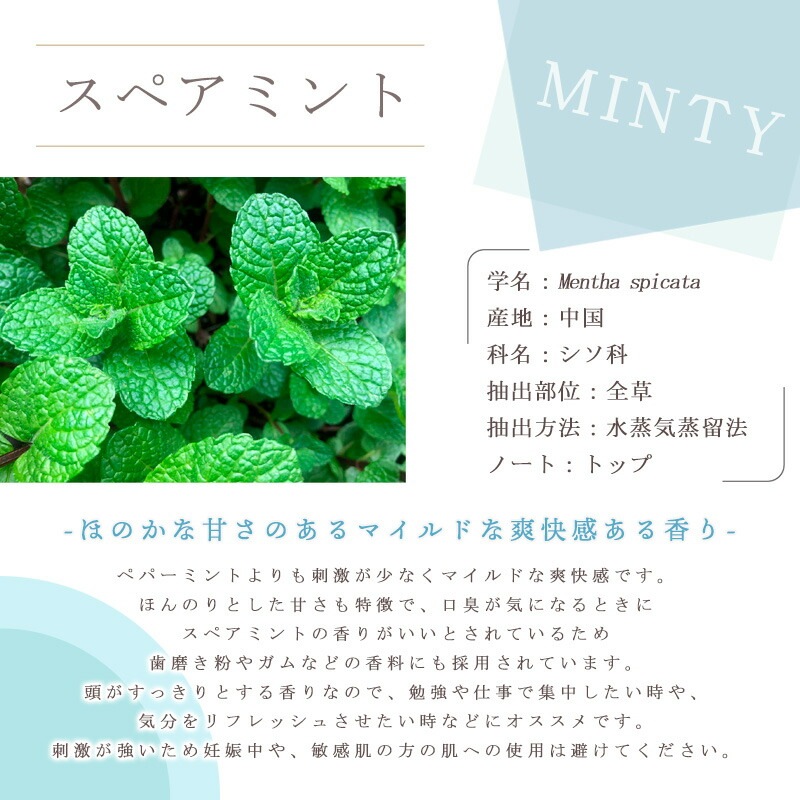 ���ڥ��ߥ��  �� ����� �� ���������� �� ��