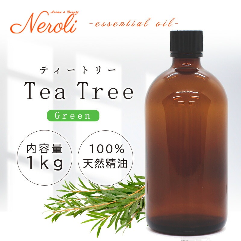 �ƥ����ȥ꡼  �� ����� �� ���������� �� ��