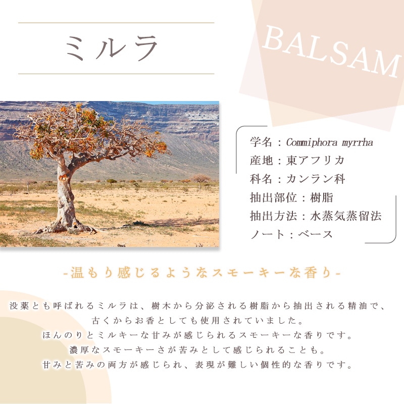 �ߥ��  �� �������� ��