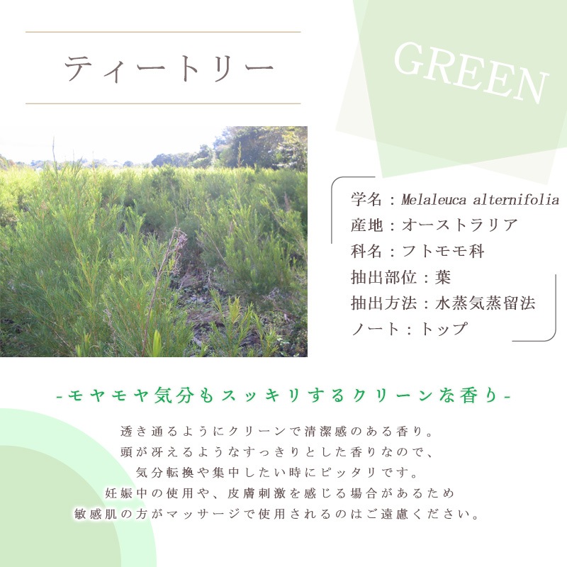 �ƥ����ȥ꡼  �� �����ʣ���������� ��