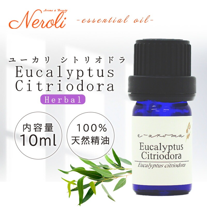 �桼���� ���ȥꥪ�ɥ� �� ����桼���� �ˡ� �������� ��