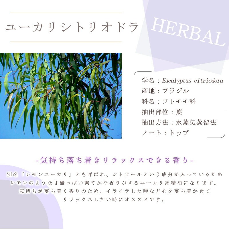 �桼���� ���ȥꥪ�ɥ� �� ����桼���� �ˡ� �������� ��