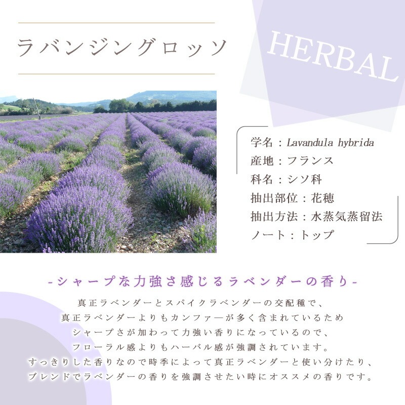 ��Х󥸥� �����å�  �� ����� �� ���������� �� ��