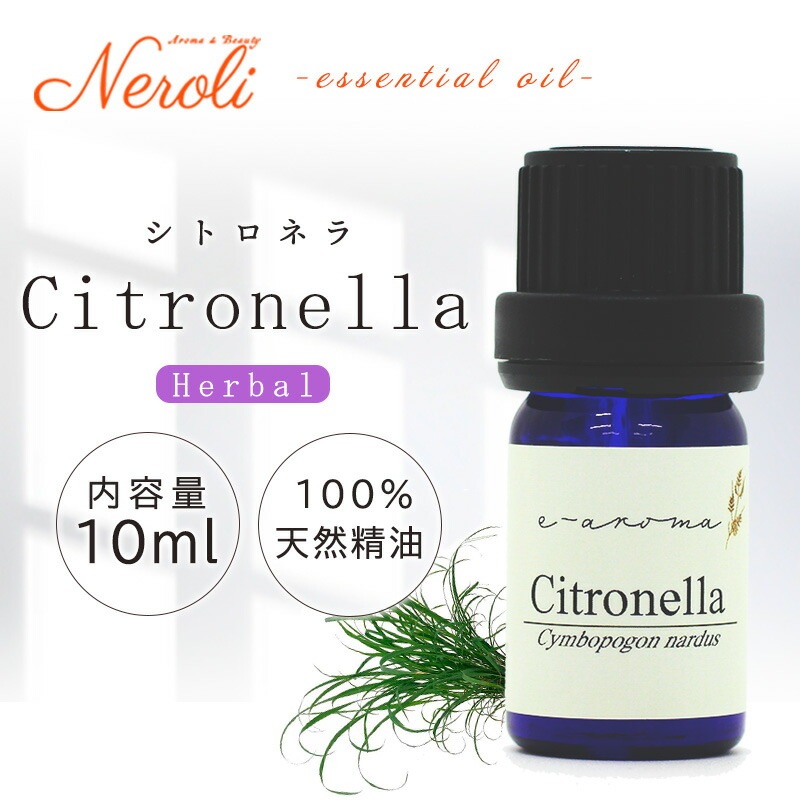 ���ȥ��ͥ�  �� �������� ��