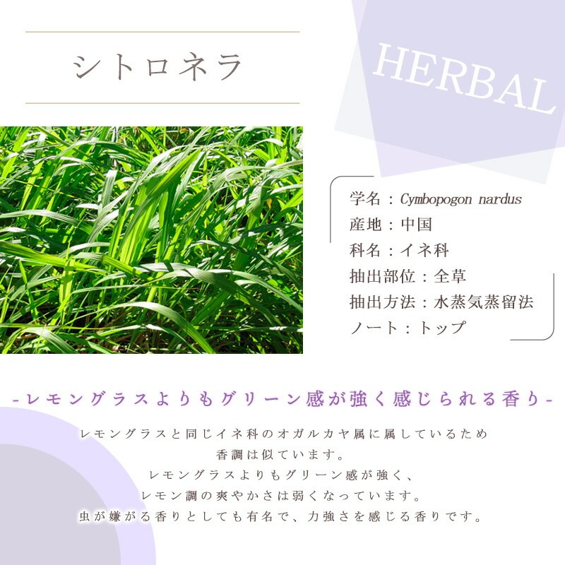 ���ȥ��ͥ�  �� �������� ��