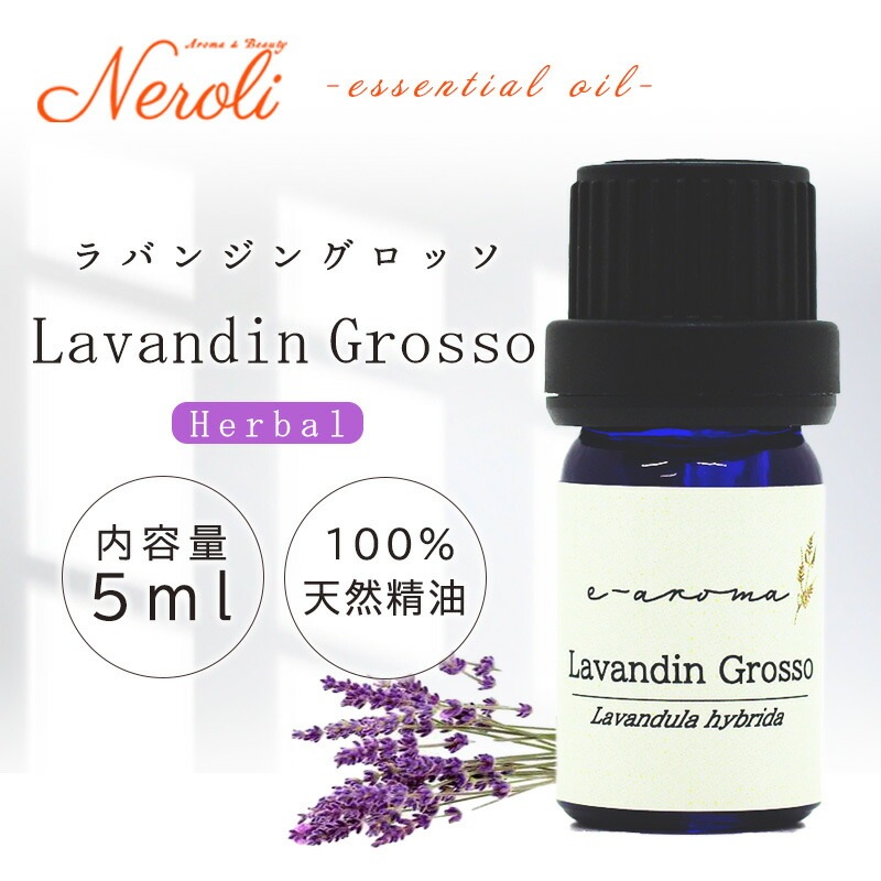 ��Х󥸥� �����å�  �� ������ �� 