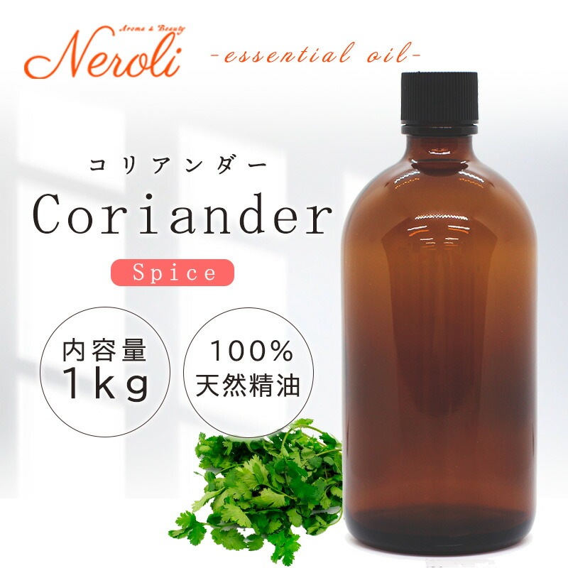 ���ꥢ�����  �� ����� �� ���������� �� ��