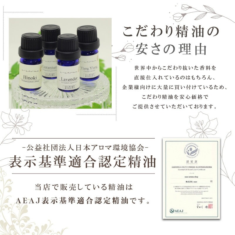 ���� ��٥����(�ե���)  �� �������� ��