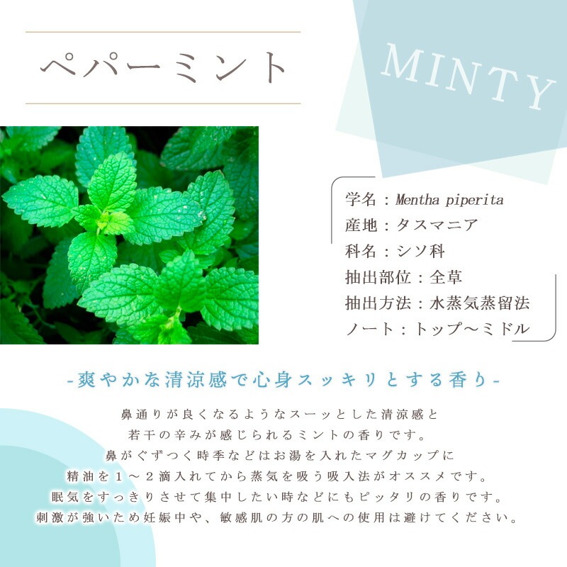 �ڥѡ��ߥ��  �� ����� �� ���������� �� ��