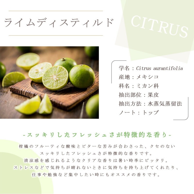 �饤�� �ǥ����ƥ����  �� �������� ��