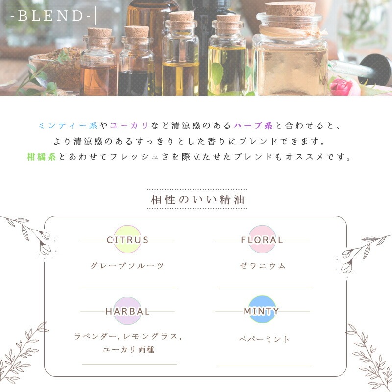 �������ޥ꡼������ե���  �� ����� �� ���������� �� ��