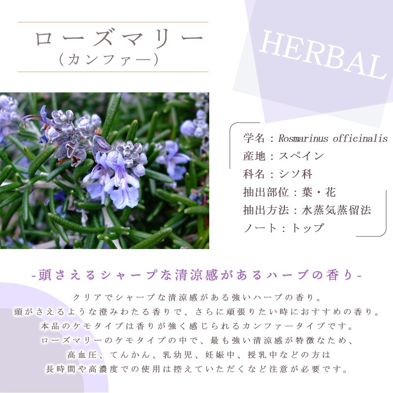 �������ޥ꡼������ե���  �� ����� �� ���������� �� ��