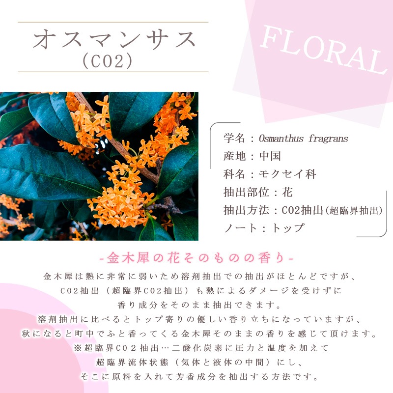 �����ޥ󥵥�(CO2)�� ������ ��