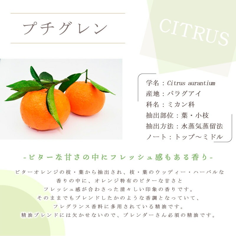 �ץ������  �� ����� �� ���������� �� ��