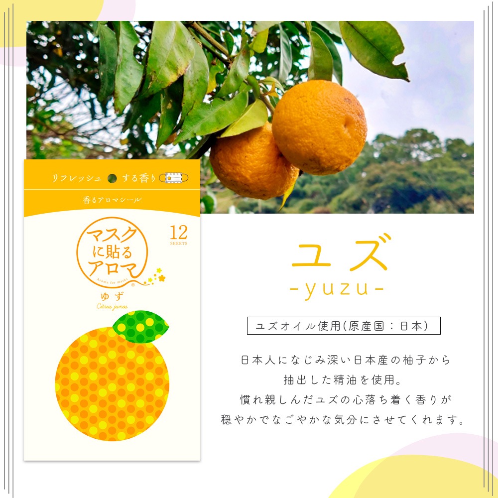 ���ײ�ǽ �᡼���� ����̵�� <BR>�ޥ�����Ž�륢���� ��륢���ޥ����� <BR>�������ڤ���� ���� �ե륻�å�<BR>�̥ѥå������ǡʥ�����ץ�������ˡ�<BR>�ʣ���������ߣ����