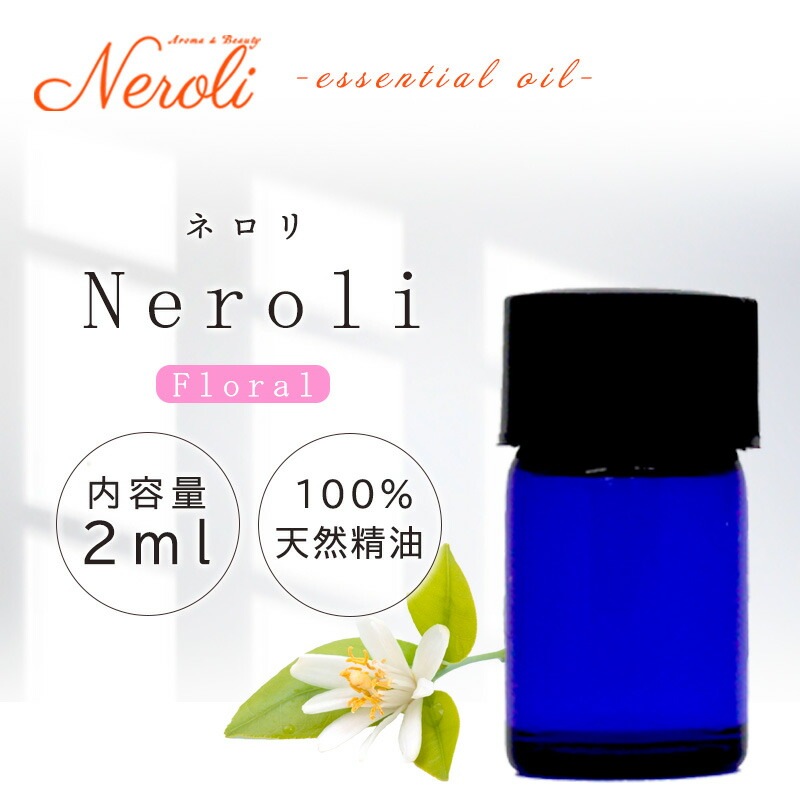 �ͥ���  �� ������ �� 