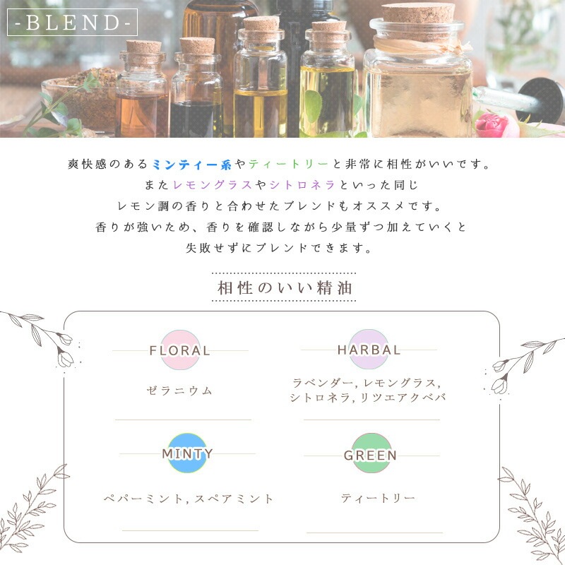 桼 ȥꥪɥ  桼 ˡ  