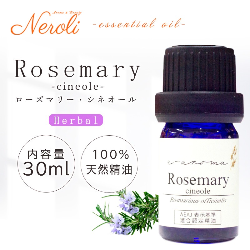 �������ޥ꡼�����ͥ�����  �� �������� ��