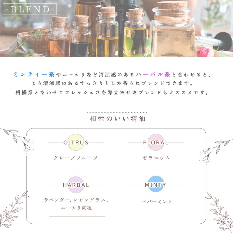 �������ޥ꡼�����ͥ�����  �� �������� ��