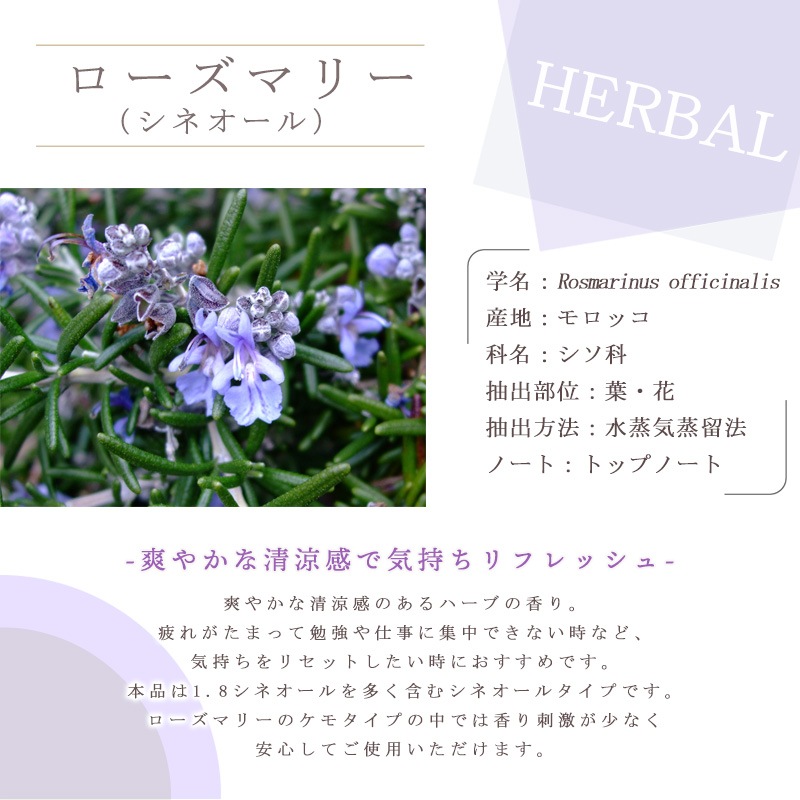 �������ޥ꡼�����ͥ�����  �� ������ �� 