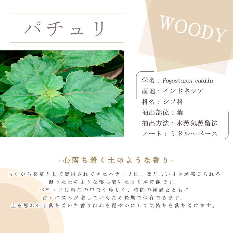 ï�Ǥ�ڤ���������Ҹ����Υ����ޥ֥����θ����å�<br> ���� ���������˥ԥå����  ������ ������ߣ���<br>�� ���� / �¼����� �� �ϥå��� �� / �ե�󥭥󥻥� / �ѥ���� ��