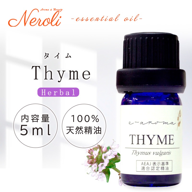 ������  �� ������ �� 