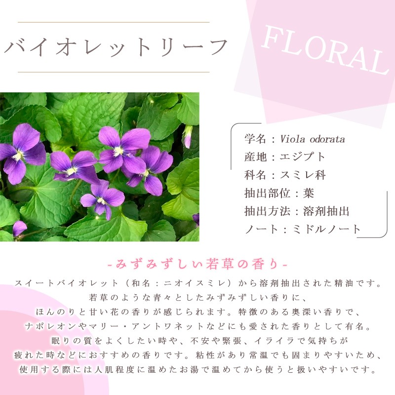 �Х�����åȥ꡼��  �� �������� ��