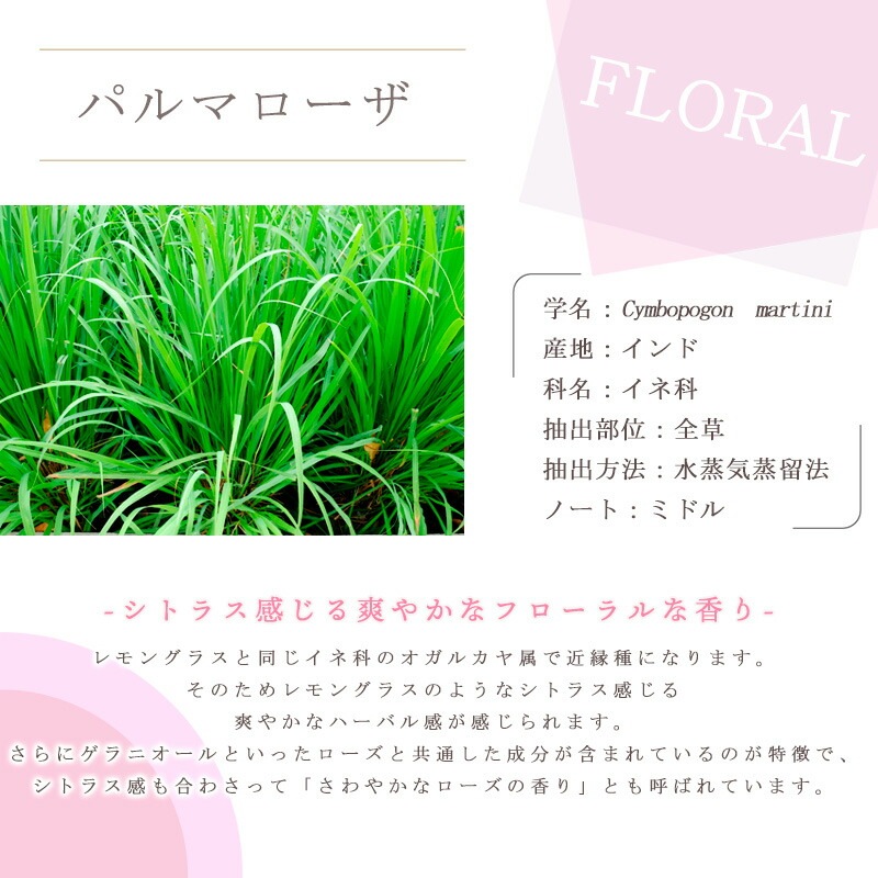 �ѥ�ޥ�����  �� ������ ��