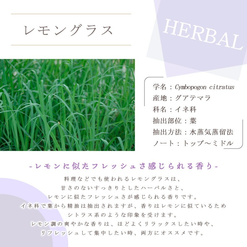 ï�Ǥ�ڤ���������Ҹ����Υ����ޥ֥����θ����å�<br> ��ե�å��� ���������˥ԥå����  ������ ������ߣ���<br>�� ���󥰥饹 / �������ޥ꡼ / �ѥ��󥹥��å� ��