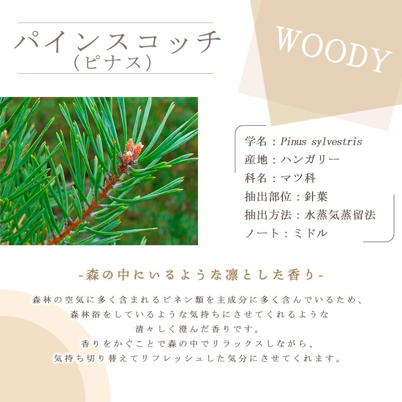 ï�Ǥ�ڤ���������Ҹ����Υ����ޥ֥����θ����å�<br> ��ե�å��� ���������˥ԥå����  ������ ������ߣ���<br>�� ���󥰥饹 / �������ޥ꡼ / �ѥ��󥹥��å� ��