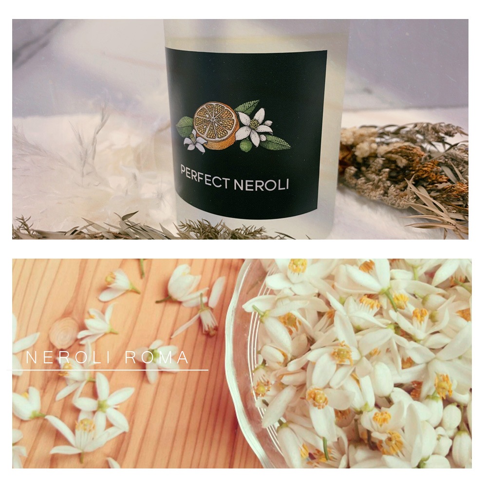 ŷ�������������˻��� �꡼�ɥǥ��ե塼���� PERFECT NEROLI �� �ѡ��ե����ȥͥ��� �� 120ml