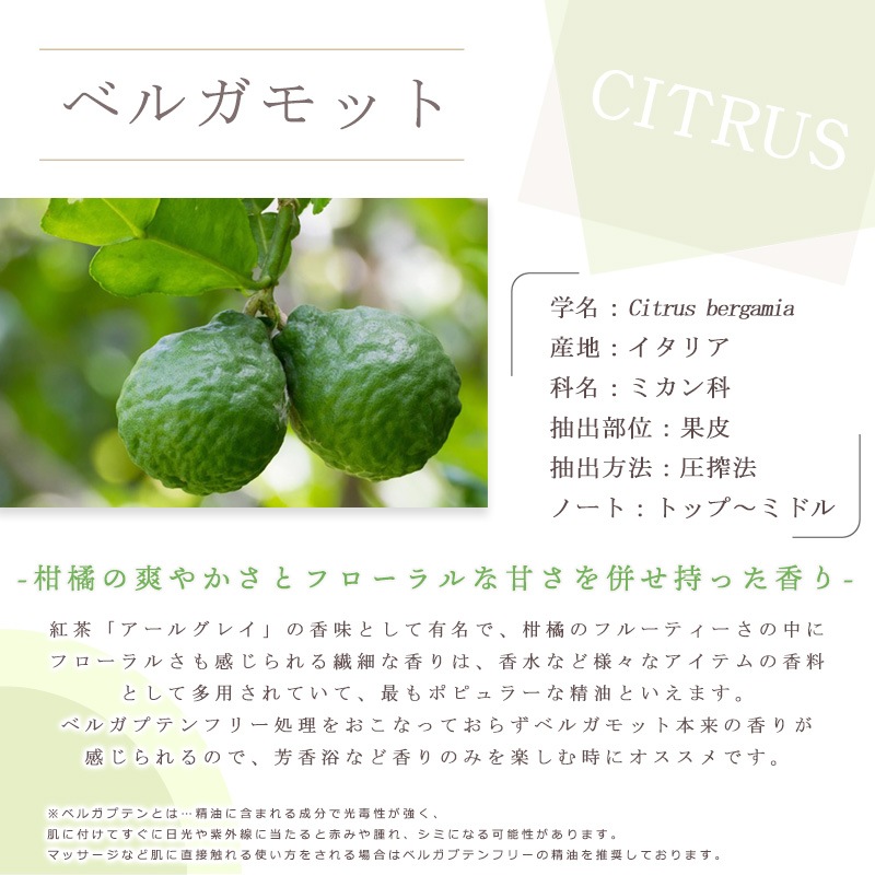 �٥륬��å� ���ȡ�  �� �����ʣ���������� ��